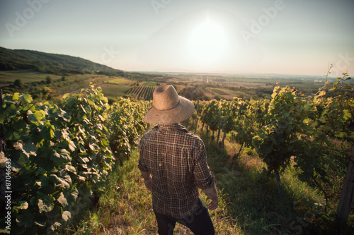 Принти на полотні Satisfied farmer with hat standing in his vineyard