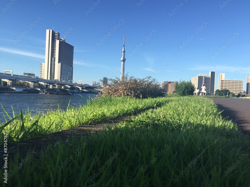 Obraz premium スカイツリー