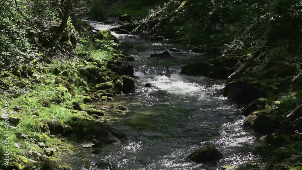 Water stream in deep forest - Water stream in deep forest -