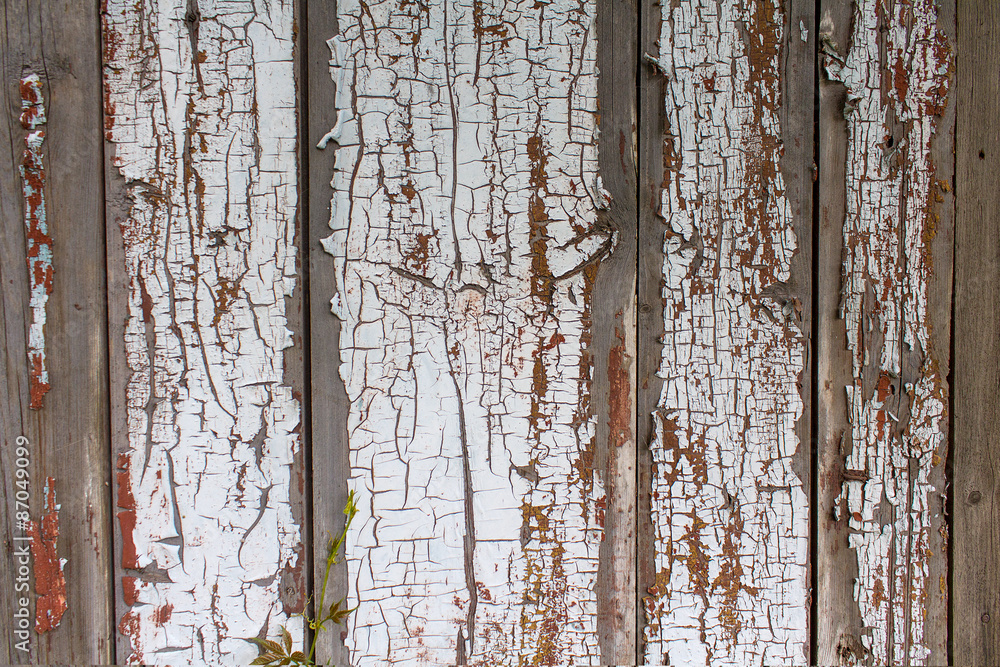 Obraz premium White painted wood planks. Background and texture