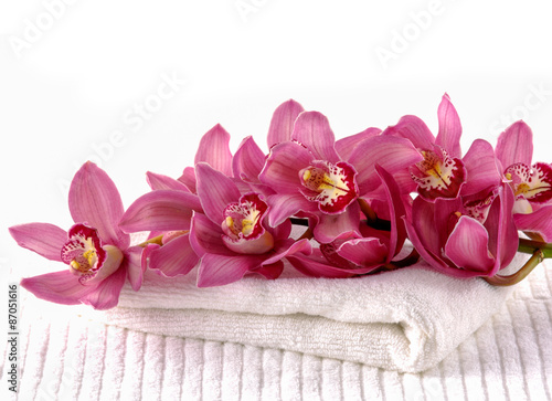 beautiful pink orchid on spa towel