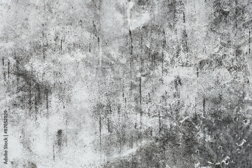 Fototapeta premium gray grung background