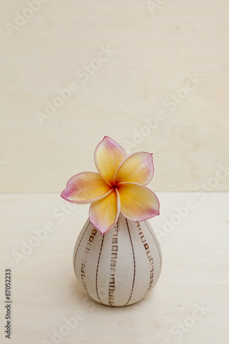 Sweet flower vase background