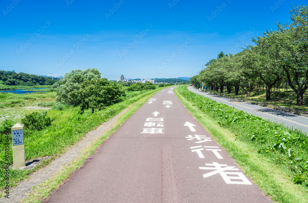 Fototapeta premium 多摩川 サイクリングロード