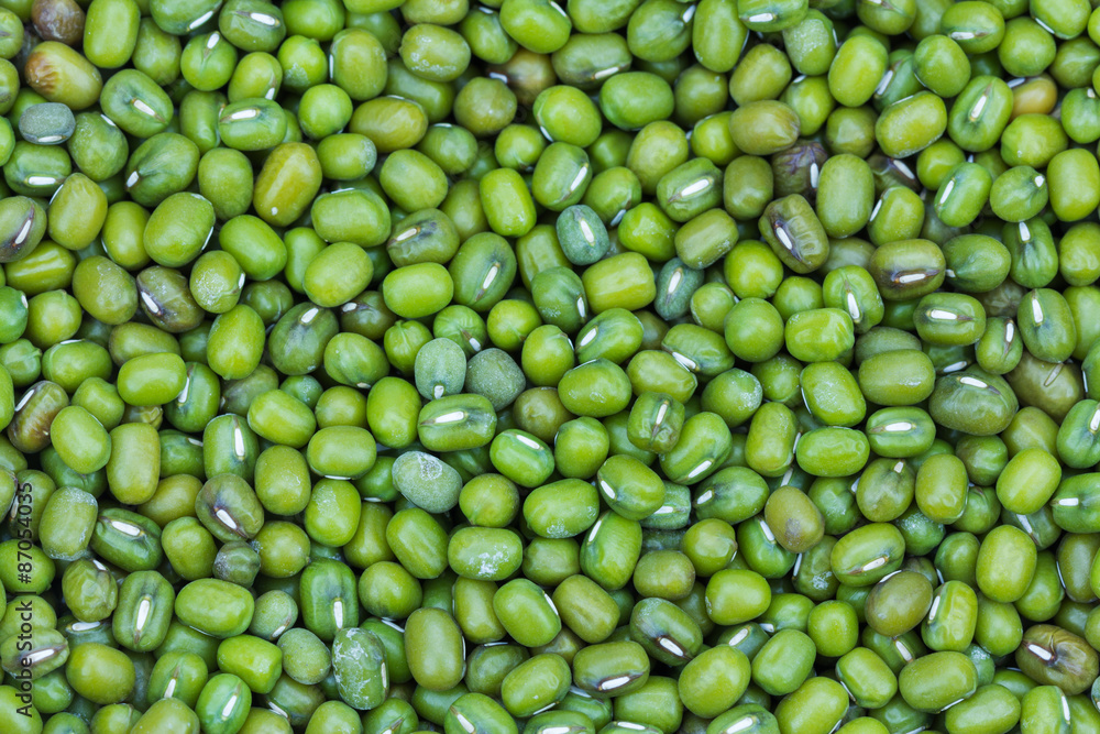 Green bean or mung bean background