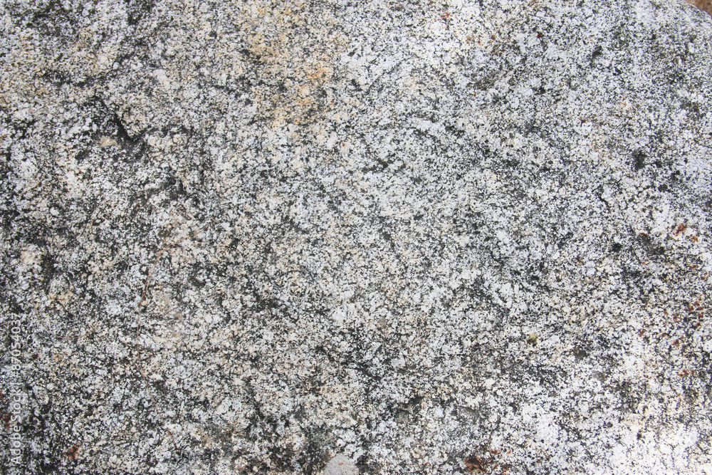 white stone texture white stone texture