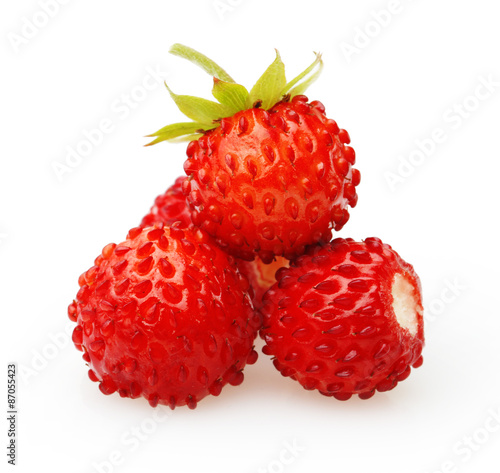 Wild strawberry isolated