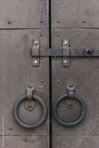 Old rusty door with door-handl and locking bolt