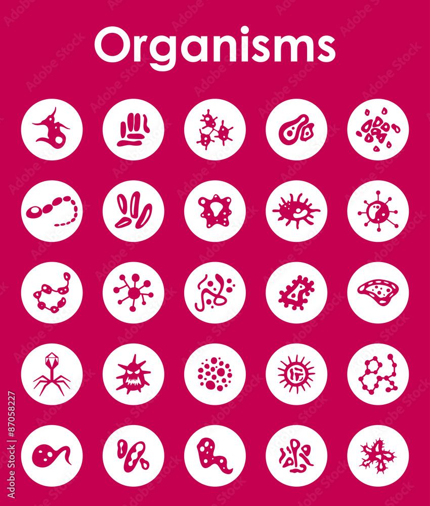 Set of organisms simple icons Set of organisms simple icons