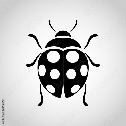 ladybug vector icon
