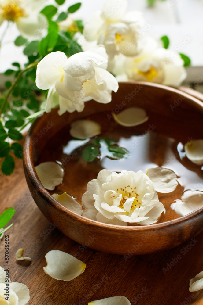 spa concept spa concept
