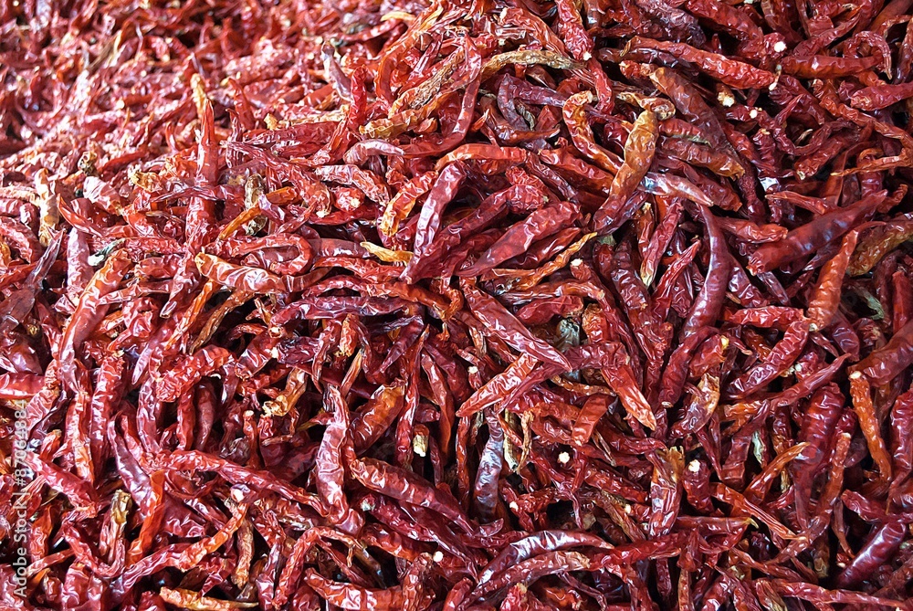 Fototapeta premium image of red chilli dried