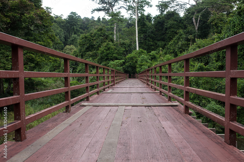 wood bridge nature 