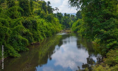 river and woods nature green