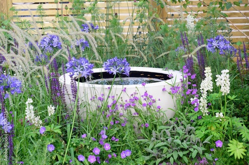 Water feature amongst purple flowers