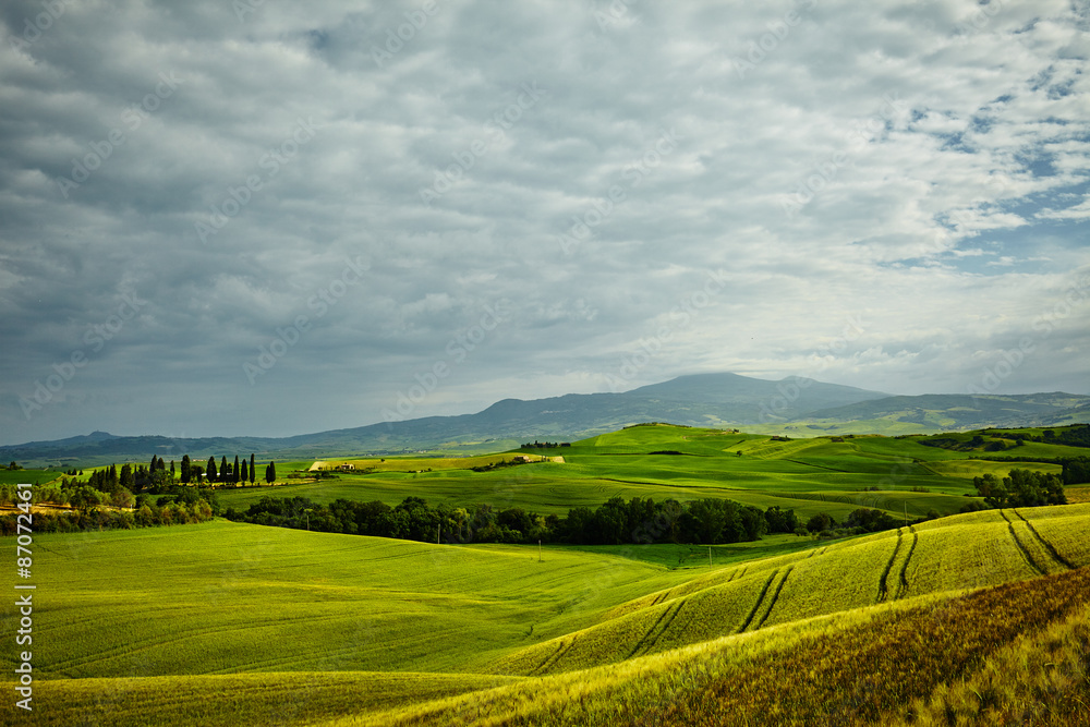Tuscany hills Tuscany hills
