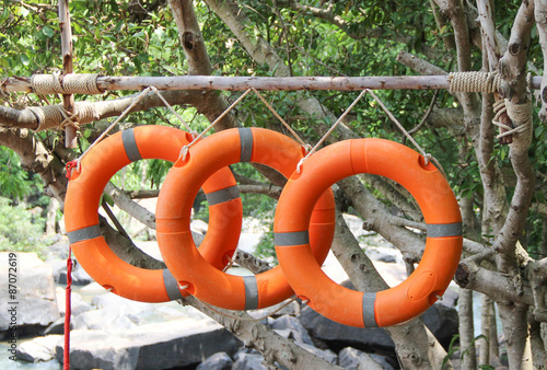 Three lifebuoys hang on branch beside waterfall