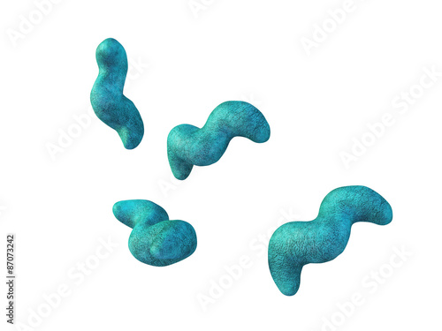 medical bacteria illustration of the campylobacter photo