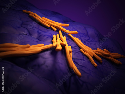 medical bacteria illustration of the mycobacterium tuberculosis photo