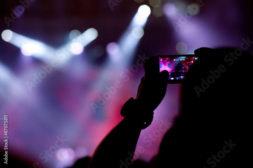 Crowd at concert