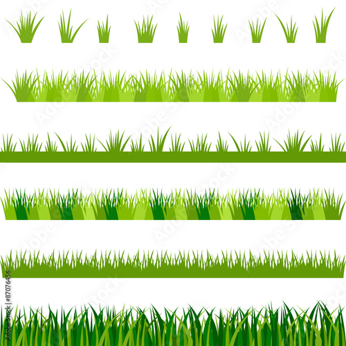 Collection of green grass, vector illustration