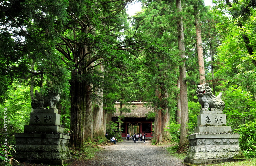 長野県　パワースポット　戸隠神社　奥社の参道