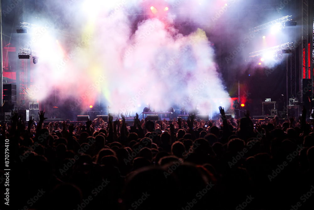 Crowd at concert