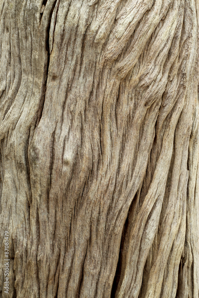 Wood texture with natural patterns. background old panels Wood texture with natural patterns. background old panels