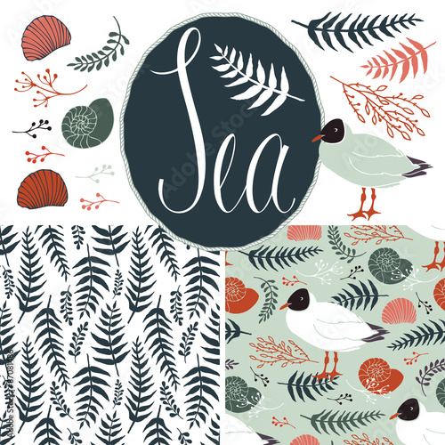 Backgrounds with gulls and ferns. Sea set
