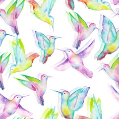 Seamless pattern of colored colibri painted with watercolors on a white background