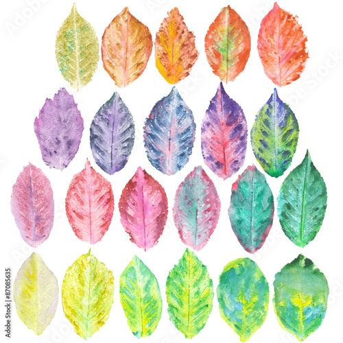 Set with bright autumn leaves stamped in watercolor on a white background