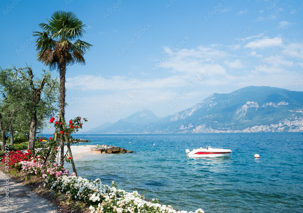 Obraz premium Flowers at Lake Garda