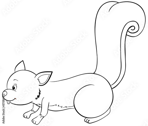 Eichhörnchen Ausmalbild