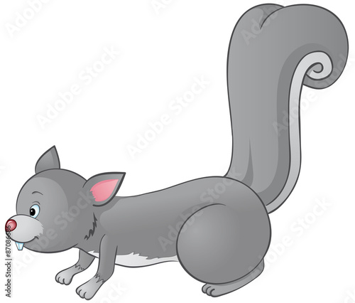 Eichhörnchen auf Nahrungssuche