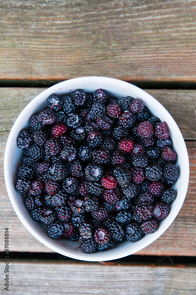 bowl full of fresh picked wild blackberries on wooden planks bowl full of fresh picked wild blackberries on wooden planks