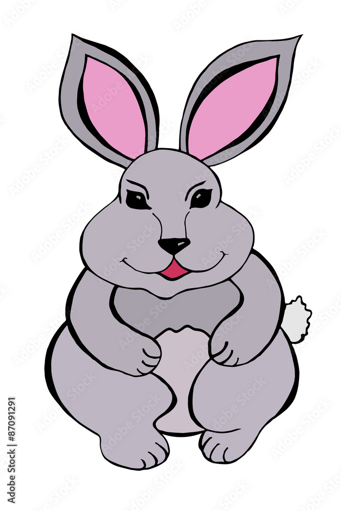 Fototapeta premium rabbit sitting