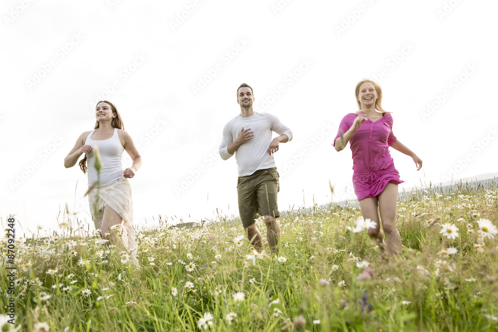 happy friends spending free time together in a field happy friends spending free time together in a field