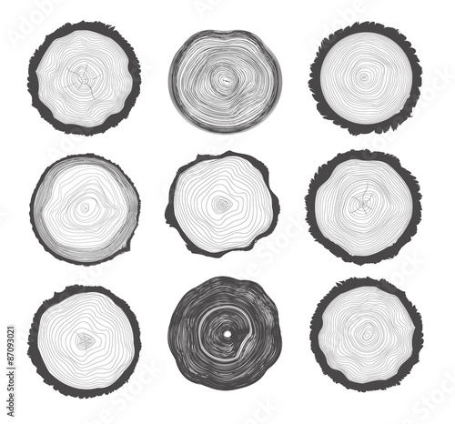 Collection of Tree Rings