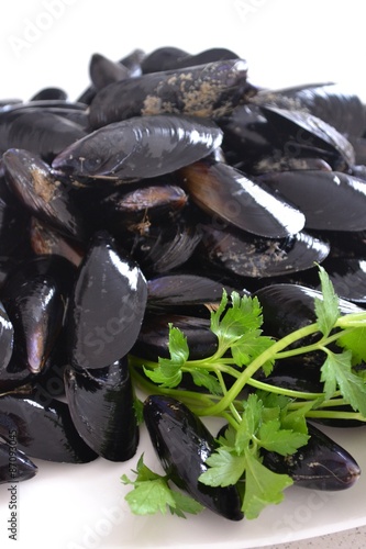 Cozze fresche