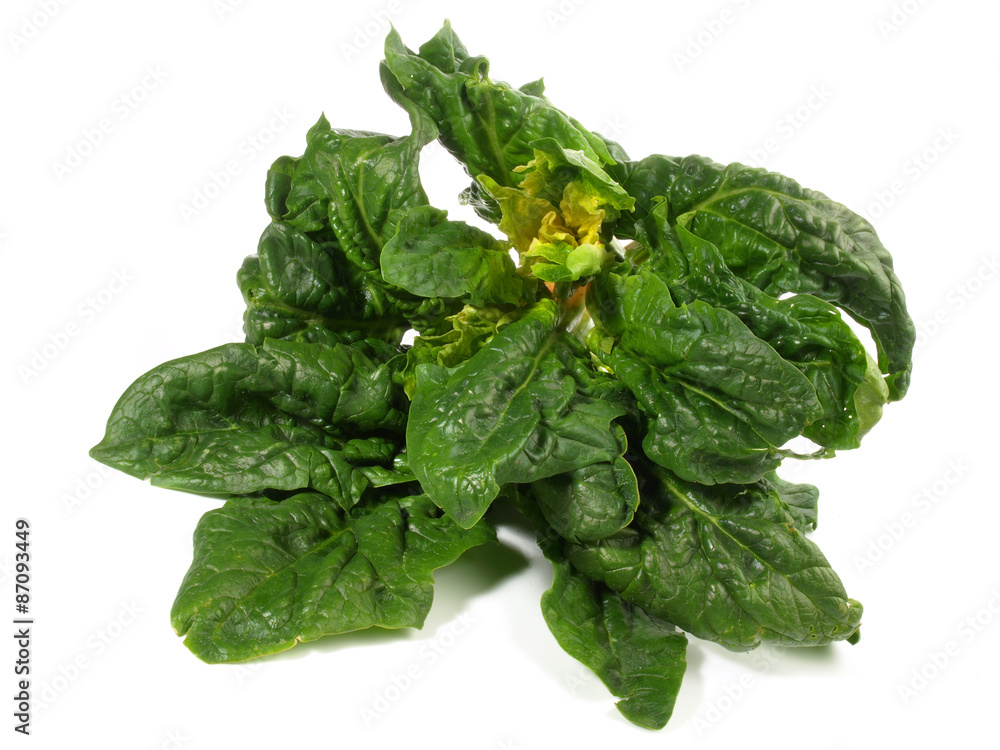 Frischer Blattspinat