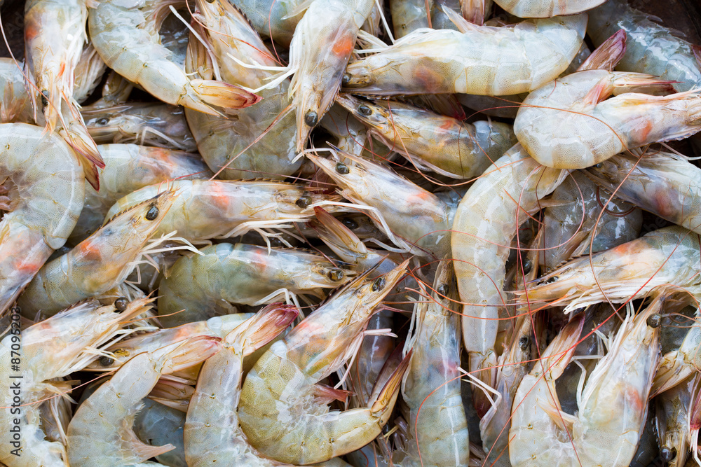 Fresh raw shrimps Fresh raw shrimps