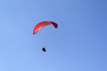 Fotobehang Luchtsport Paraglider zwevend in heldere lucht  © Edelweiss086