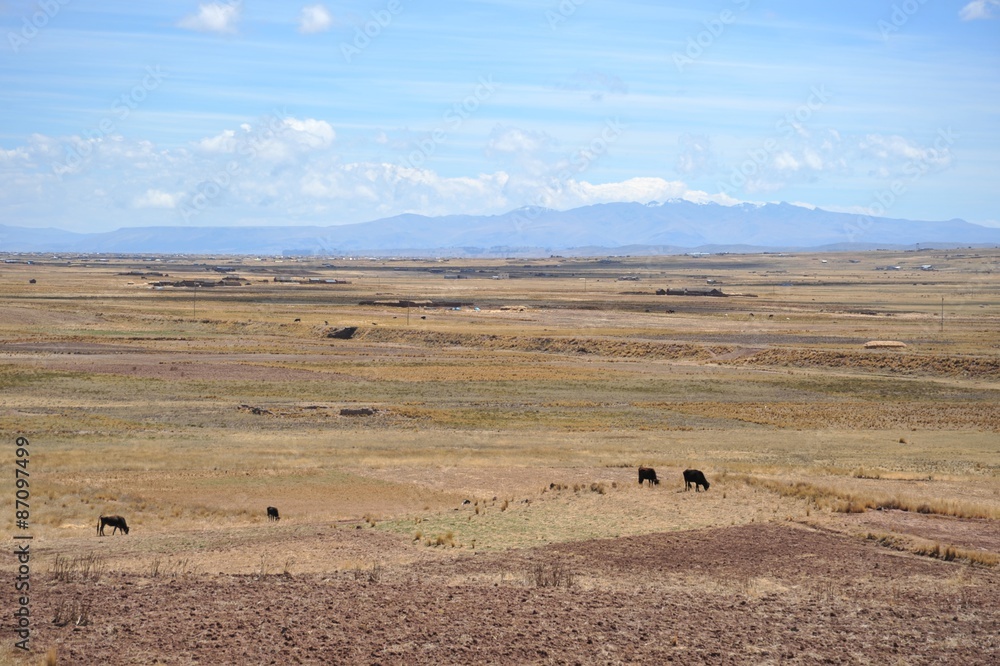 Obraz premium Altiplano, Bolivia