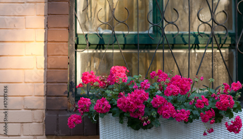 Fototapeta Naklejka Na Ścianę i Meble -  flowers on the window