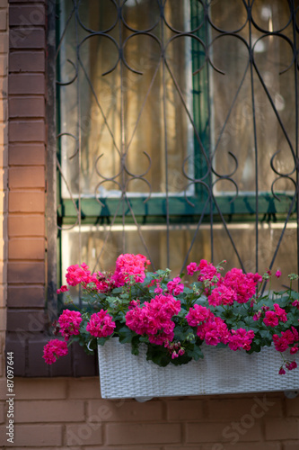 Fototapeta Naklejka Na Ścianę i Meble -  flowers on the window