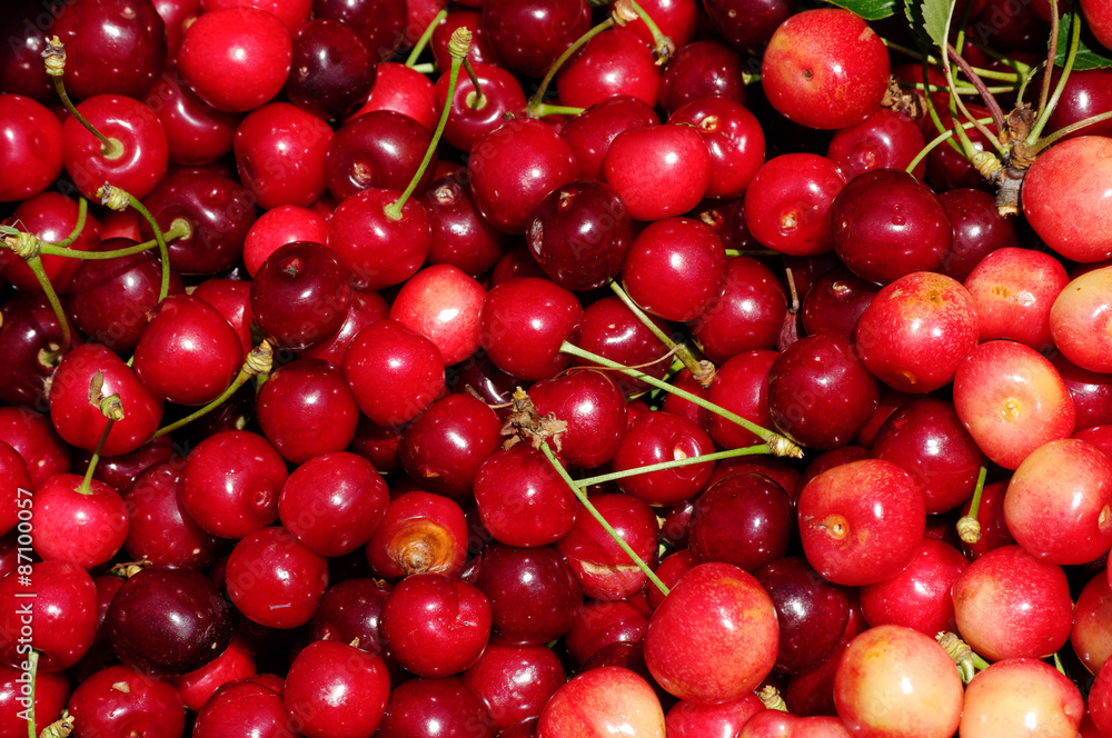 Kirschen Kirschen