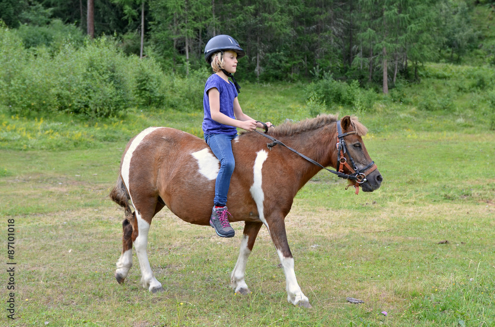 reiten reiten