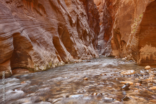 Narrows - Zion National Park