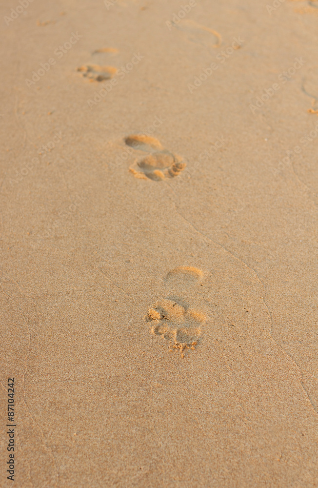 Footprints on beach Footprints on beach