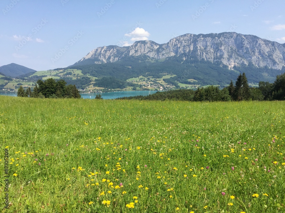 Frühlingswiese im Salzburger Land am Attersee, Österreich